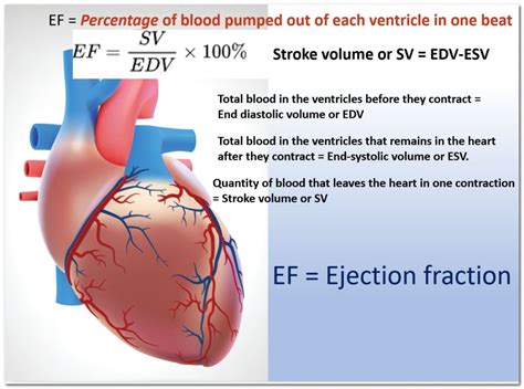 what is lv function|lv ejection fraction chart.